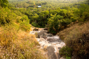 Green mountain forest, Green tree forest background.