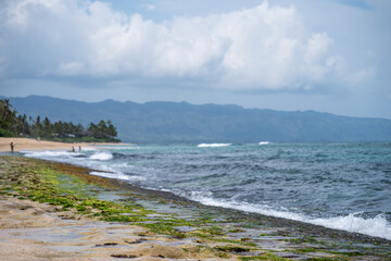 Laniakea Beach at high tide is coming in with waves crashing