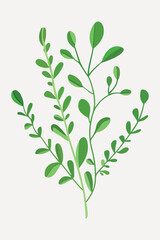 flat leaf plant illustration vector