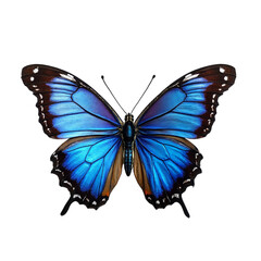 Isolated vibrant blue butterfly on transparent background. Hyperrealistic macro studio shot detailing iridescent sapphire wings with intricate black patterns. Perfect for spring events,