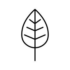 leaf line icon
