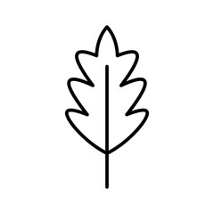 leaf line icon