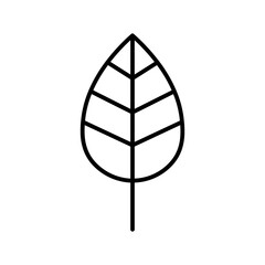 leaf line icon