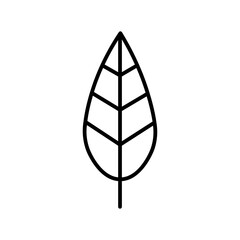 leaf line icon