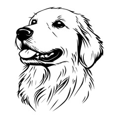Golden retriever face linear art illustration sketch vector