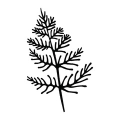 Fototapeta premium Leaf Fern leaves shape brush stroke silhouette nature simple vector