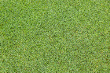 Green grass on golf course indicating a challenging course design for tournament preparation or early play.