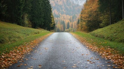 Fototapeta premium Autumn Roads: Scenic Mountain Road Through Dolomite National Park