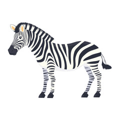 Fototapeta premium Zebra from Africa wildlife illustration animal vector