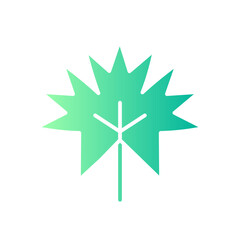 leaf gradient icon