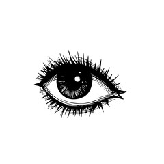Obraz premium Monochrome eye illustration featuring intense lashes against a stark white backdrop