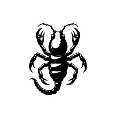 Graphic scorpion illustration showcasing intricate details and striking contrast