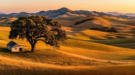 Fototapeta premium Beautiful landscape featuring a tree building and rolling grassy hills