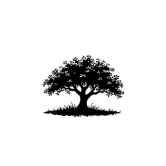 Silhouette of a lush tree evoking timeless natural strength and resilience