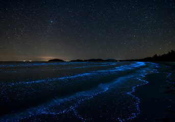 Bioluminescent night shoreline