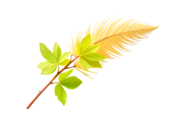 Elegant Yellow Feather and Green Leaves Branch Nature's Delicate Beauty