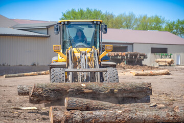 Heavy equipment front loader being used to move logsat a lumber mill
