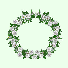Fototapeta premium Floral wreath, white isolate background