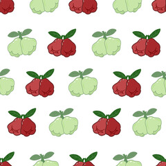 Fruit pattern illustration on white background
