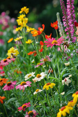 A bright afternoon in a garden full of buzzing bees and blooming flowers Mom is showing the kids how to plant seeds and water them gently