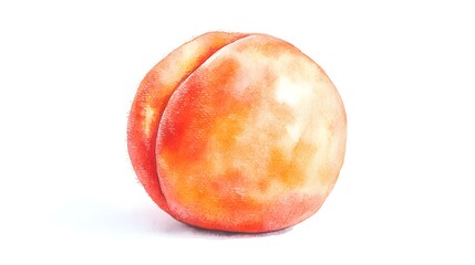 Fototapeta premium Detailed illustration of a single peach fruit.