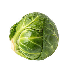 Obraz premium Brussels sprout isolated on a transparent background