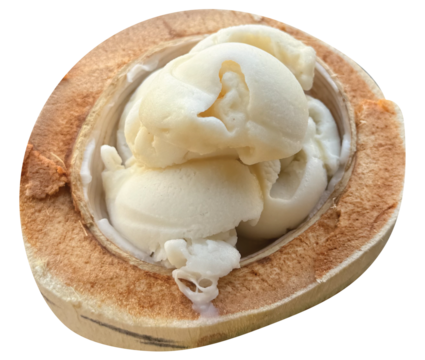 Die cut Thai coconut ice cream in a coconut for sweet dessert, street food, snack, restaurant, cafe, menu, recipe, beach vibe, spring and summer, cuisine, department store, grocery shopping, sticker