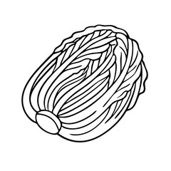 Kimchi Traditional Korean Fermented Vegetable Vector