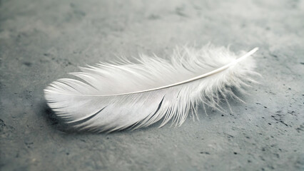 Single Soft White Feather on Textured Gray Surface