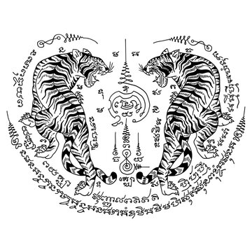 Thai traditional tattoo, two tigers (Sueu Khu) or twin tigers. Thai text translation: protection, strength and power