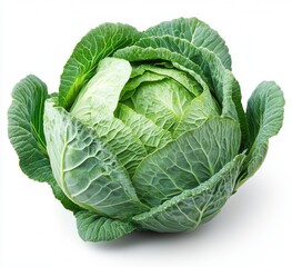 Fototapeta premium Fresh and vibrant head of cabbage isolated on a clean white background showcasing its lush greens and neatly layered leaves