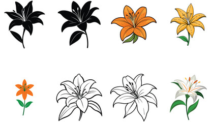 Collection of Lily Flowers in Various Styles and Colors