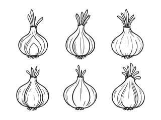 Onion Powder Line Art