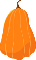 Tall orange pumpkin, smooth skin, long stem, isolated.