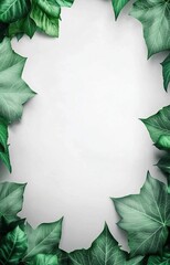 Fototapeta premium green leaf frame