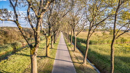 Bicycle lane road between trees aerial drone view from above, cycling lane for bikes, idyllic dutch spring landscape, typical countryside transportation infrastructure in the Netherlands