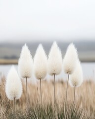 Pampas grass plumes in field against foggy lake landscape nature photography in neutral color palette