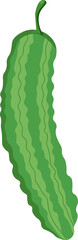 Grocery Food, Bitter Melon Illustration