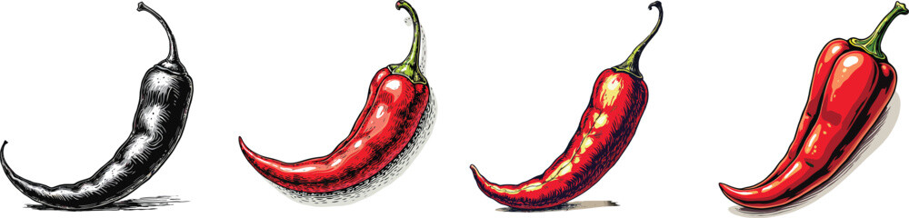 Cut Out Set of Chili pepper isolated on Transparent or white background, Vintage sketch vector illustration.