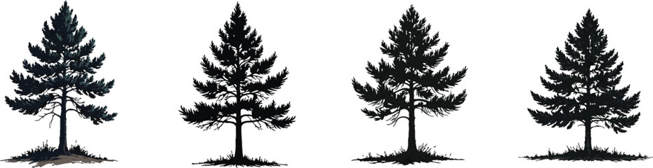 Cut Out Set of Pine tree silhouette isolated on Transparent or white background, Vintage sketch vector illustration.