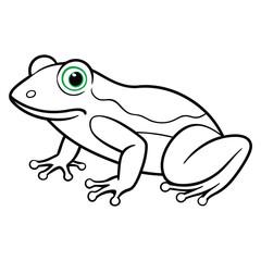 Fototapeta premium Green Tree Frog illustration white background