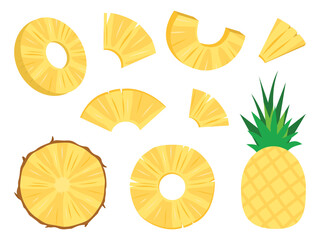 Pineapple tropical fruit vector icon set. half and sliced isolated on white background. Vector hand drawn illustration.