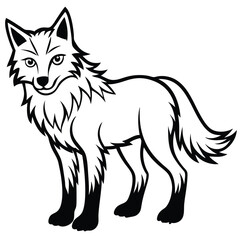 Grey Wolf illustration white background