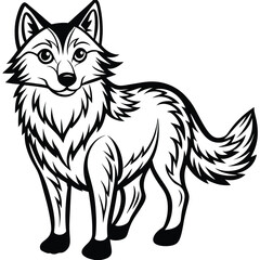Grey Wolf illustration white background