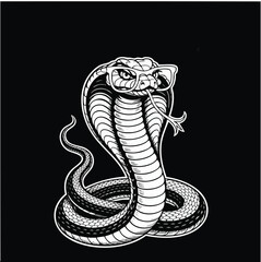 Fototapeta premium A detailed and fierce black and white illustration of a cobra snake wearing glasses, with its hood spread and tongue out. Ideal for tattoo designs, apparel prints, biker emblems, and wildlife artwork.