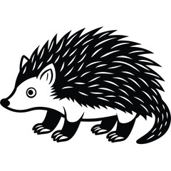 hedgehog illustration white background