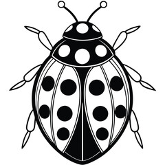 Obraz premium Ladybug illustration white background