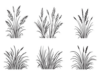Minimal Thatching Grass Illustration Set