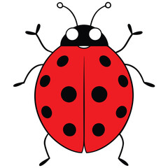 Ladybug illustration white background