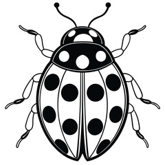 Ladybug illustration white background